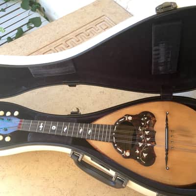 Umberto Ceccherini Neapolitan Style bowlback mandolin 1881 with Eastman Case image 2