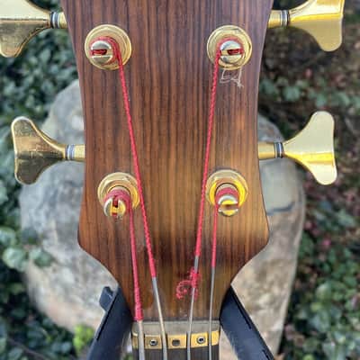 Alembic Fretless 4-String Bass (Pre-Owned) w/bag image 5