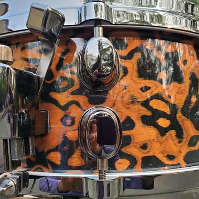 Mapex Orion 2008 - Chocolate Burl image 10