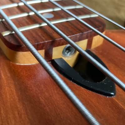 WAL Custom Bass 1982 image 22