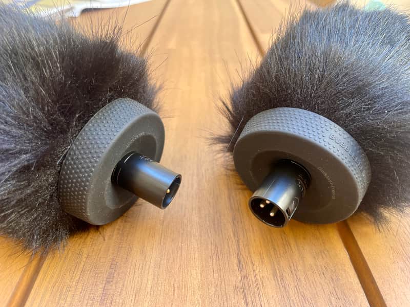 Immersive Soundscapes EARSIGHT THUMB/BBG Omni + Windkiller by Bubblebee Industries image 1