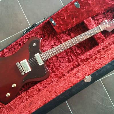 Echopark Ghetto Bird 2016 Case Study 2016 w/OHSC New Condition image 10