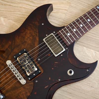 2015 Echopark Custom Crow Case Study Boutique Semi-Hollowbody Electric Guitar w/ ohsc, QOTSA image 7