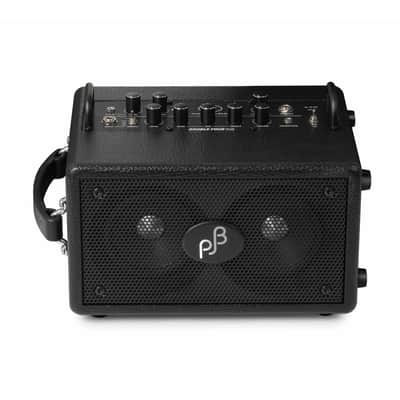Phil Jones Bass ベース用 BASS CUB BG-100 P: BG-100 Bass Combo Amp