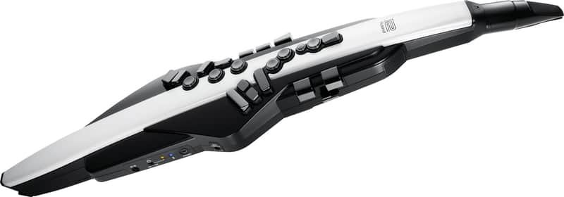 Roland Aerophone AE-20 Digital Wind Instrument image 1