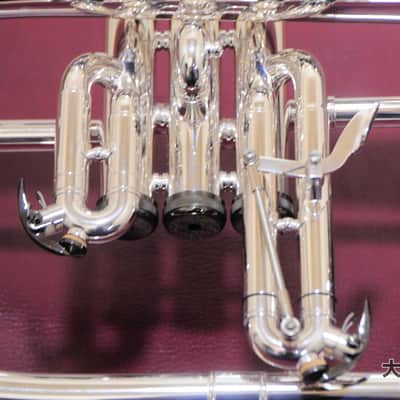 Brasspire Unicorn BPFG-850BS Black Nickel Trim (NEW) Flugelhorn image 3