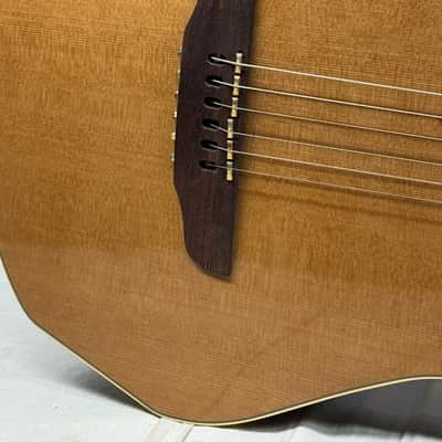 Godin Multiac Grand Concert SA Nylon String Classical Guitar with Case 2012 image 5