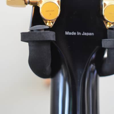 Tokai LC 195 2014 Black Beauty image 7