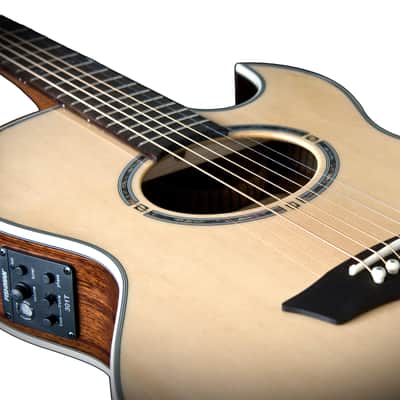 Washburn EA20SNB Nuno Bettencourt Festival Series Thin Body Acoustic Electric Guitar, Natural image 6