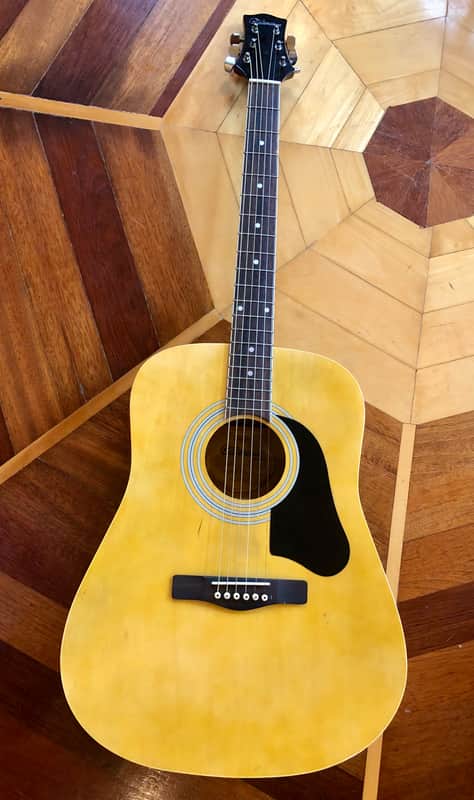 Silvertone PRO SERIES Acoustic Guitar PD2 image 1