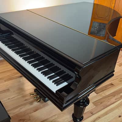Immagine Bechstein V 1903 - Black Polish - 22