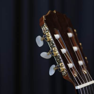 Asturias AST 60 Classical Guitar Cedar/Indian Rosewood image 5