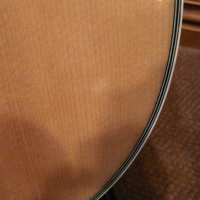 Alvarez 5080 N Artist "Natural Fusion" System 500 Spruce/Mahogany Excellent Condition Plastic OHSC image 20