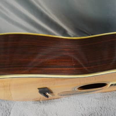 TF Morris W-50 - Natural Japan Acoustic image 13