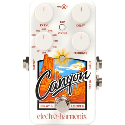 Electro Harmonix Canyon Delay And Looper Pedal image 1