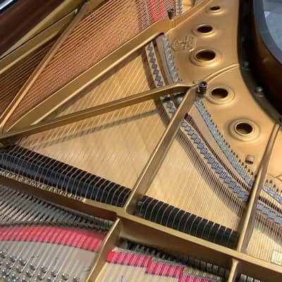 Steinway & Sons Grand Piano Model B, Hamburg 1968 image 4