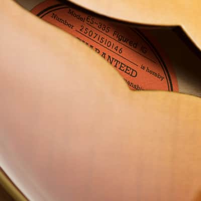 Immagine Epiphone ES-335 Figured | Raspberry Tea Burst - 8