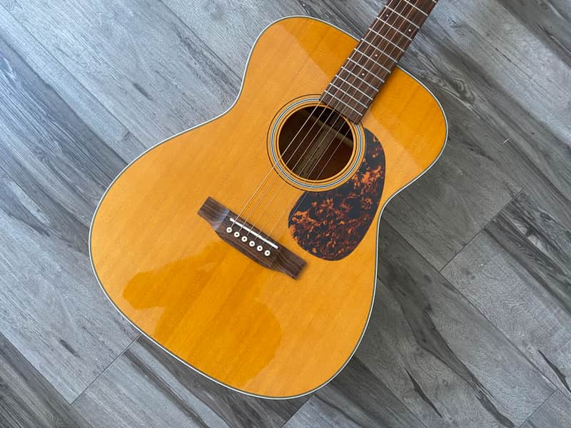 Tanglewood Sundance Historic TW40-O-AN, Hard Case 2010s image 1