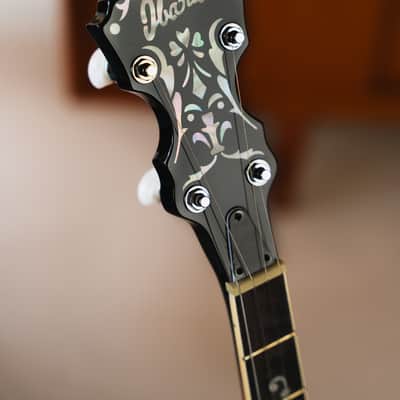 Ibanez B200 WITH HARDSHELL CASE - 5-String Resonator Banjo image 4