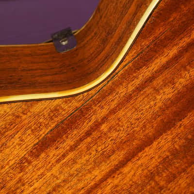 1940s SS Stewart (Harmony-made) Archtop Guitar (VIDEO! Fresh Work, Ready to Go) image 16