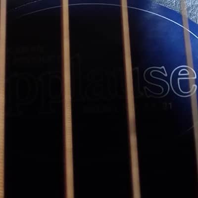 Applause AA-31 Acoustic Guitar image 17