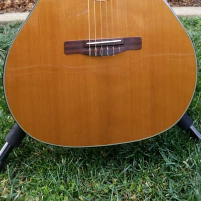 Fender GN-45-SCE-NAT 2003 Natural Nylon String Acoustic Electric image 2