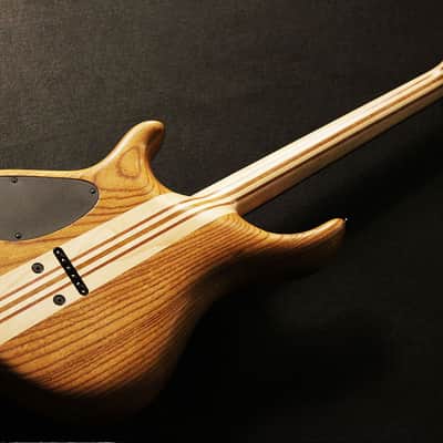 Mayones Regius 6 Flames Master Builder Collection 2014 image 12