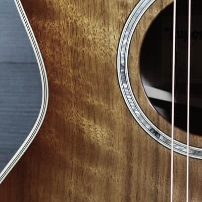 Taylor Custom Grand Auditorium Figured Walnut Acoustic-Electric Guitar | Shaded Edgeburst | ES2 Electronics image 18