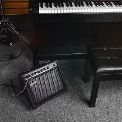 Donner DKA 20W Keyboard Amplifier Amp image 6