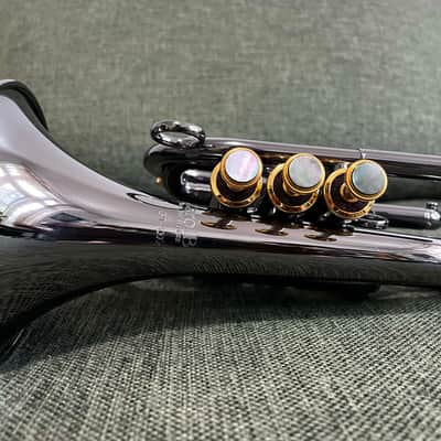 Carol Brass Blackhawk Pocket Mini Trumpet 2022 image 4