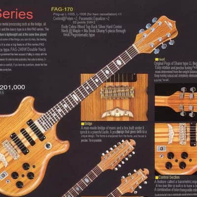 Fernandes FAB & FAG 1980s W-form image 21