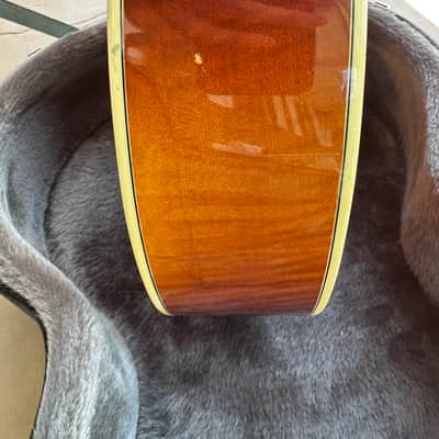 Eastman AR805CE 2008 image 12