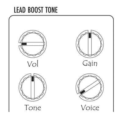 Warm Audio Warmdrive Legendary Amp-In-A-Box Overdrive Pedal Overdrive Pedal image 7