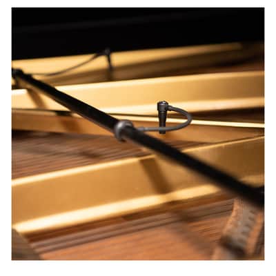 Earthworks PM40 | PianoMic System. New with Full Warranty! image 4
