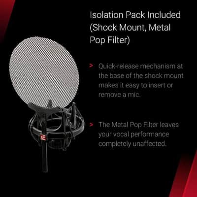 sE Electronics sE2200 Large Diaphragm Cardioid Condenser Microphone image 7