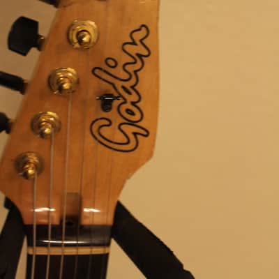 Godin G4000 image 4
