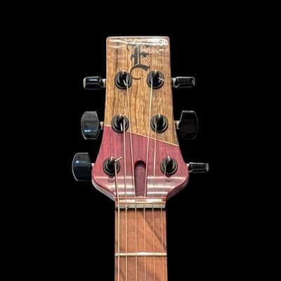 Ellis Guitars IR2 image 4