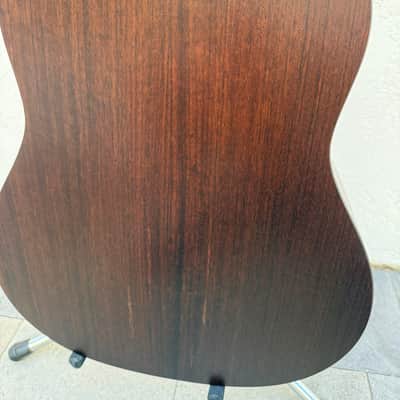 Taylor AD17 2021 - Matte image 19