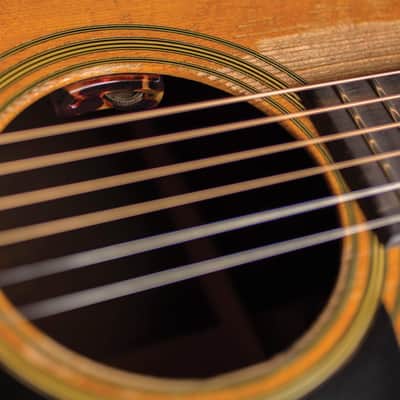 L.R. Baggs Lyric Acoustic Guitar Microphone System image 3