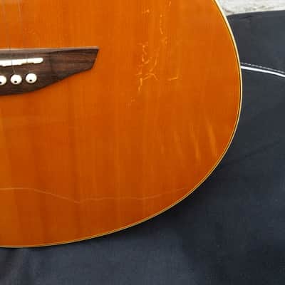 ELYPSE Electro acoustic folk cutaway + original Gigbag 2000 image 3