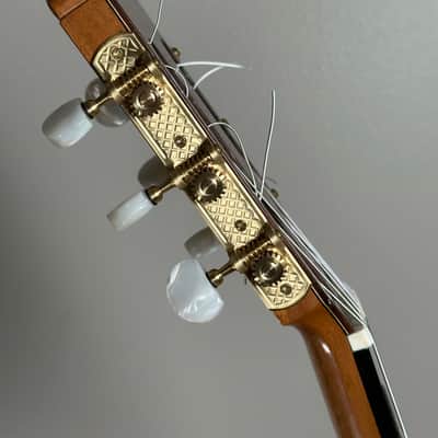 Juan M Garcia Fernandez Flamenco Blanca 2025 - French polish image 10