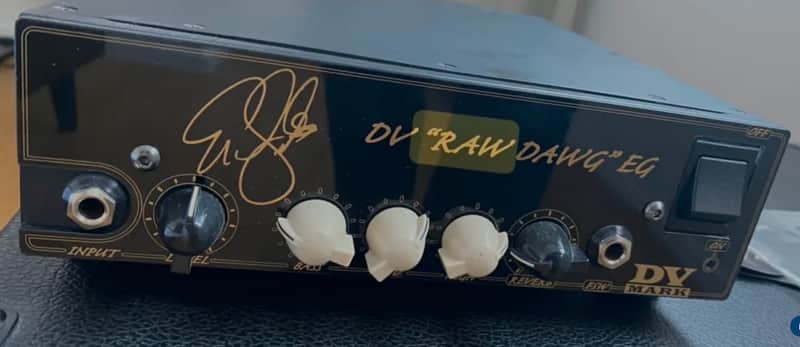 DV Mark DV "Raw Dawg" EG Eric Gales Signature 250-Watt Guitar Amp Head 2018 - Present - Black image 1
