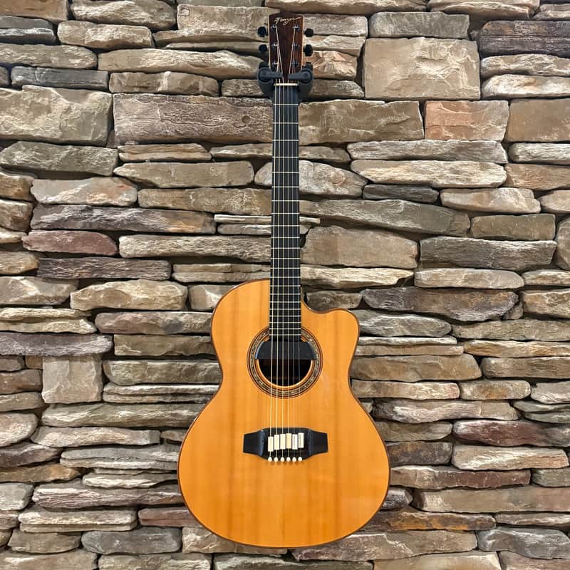 Linda Manzer Sitar Acoustic 1997 w/ Hardshell Case image 1