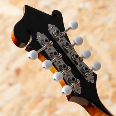 Iwashita Mandolins&Guitars F 5 2024 image 8
