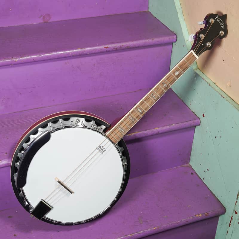 2020s Koda (McNeela) Resonator Tenor Banjo (VIDEO! Fresh Work, Ready) image 1