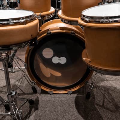 Peavey Radial Pro 1000 Kit with Hardware, 10, 12, 14, 16, 22, 14sn, Clear Maple, Made in USA image 3
