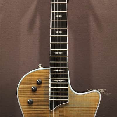 Taylor T5z Pro - Denim, Special Edition 2016 image 9