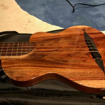 Rick Turner RB5 Fretted 2015 Gloss Renaissance Bass image 15