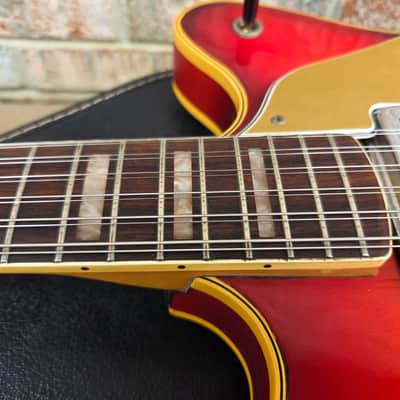 Vintage 1967 Fender Coronado XII Twelve String Hollowbody Electric Guitar w/ Case! image 10