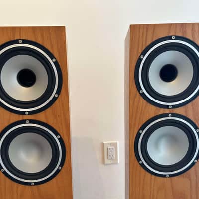 Tannoy Revolution XT 6F 2018 - Medium Oak image 2